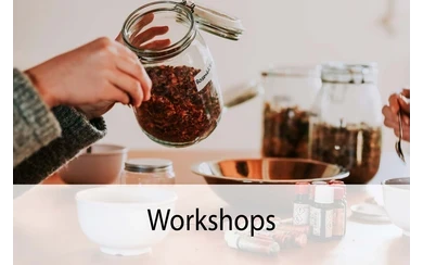 Workshops (Teaser neu Bildung und Vermittlung)