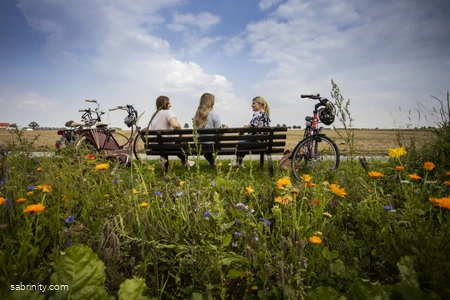 Börde-Bausteine (Titelbild)