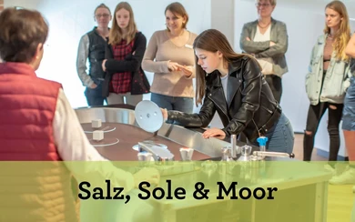 Salz, Sole und Moor - Überblicksführung