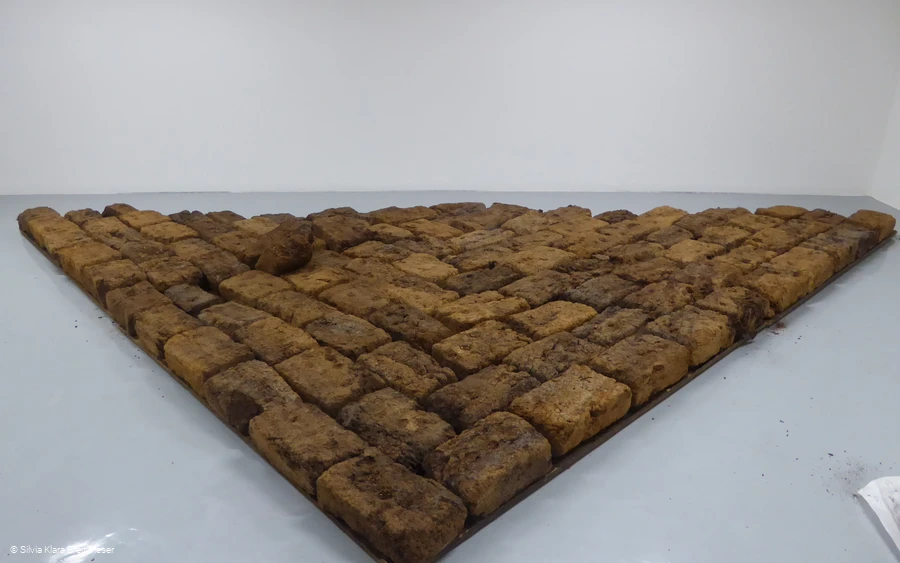 Torfdreieck - Silvia Klara Breitwieser