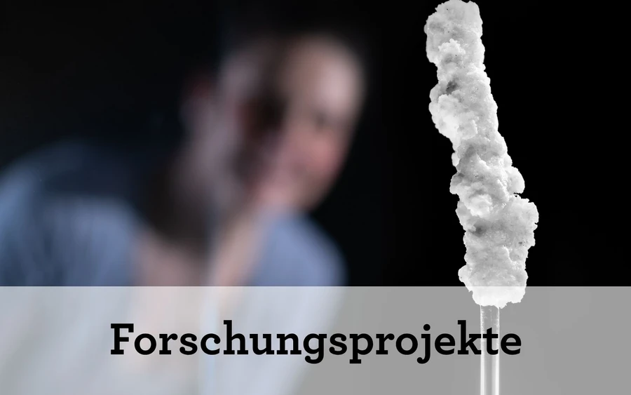 Forschungsprojekte (Teaser Das Museum)