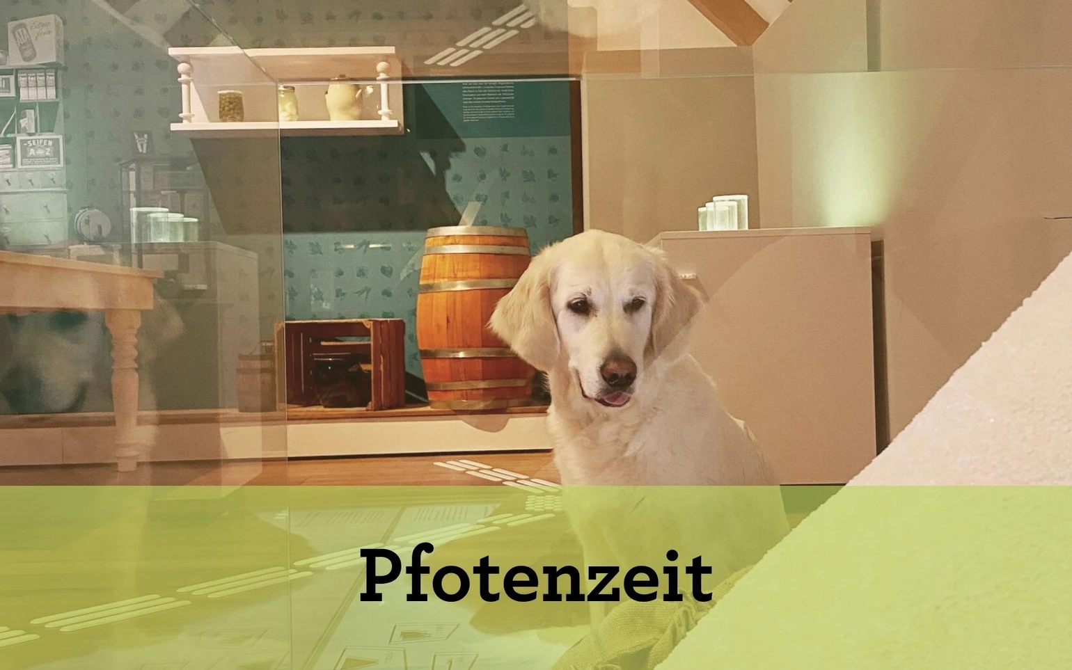 Pfotenzeit (Verweis)