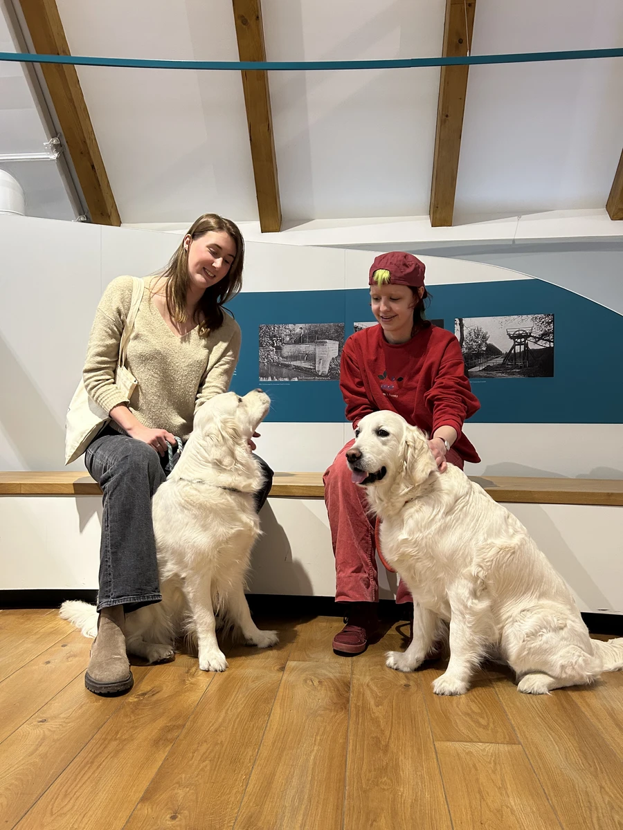 Doggy Day (Bild im Text_2)